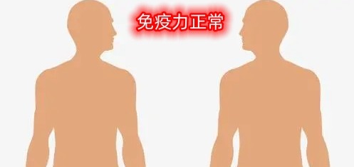 免疫功能.jpg