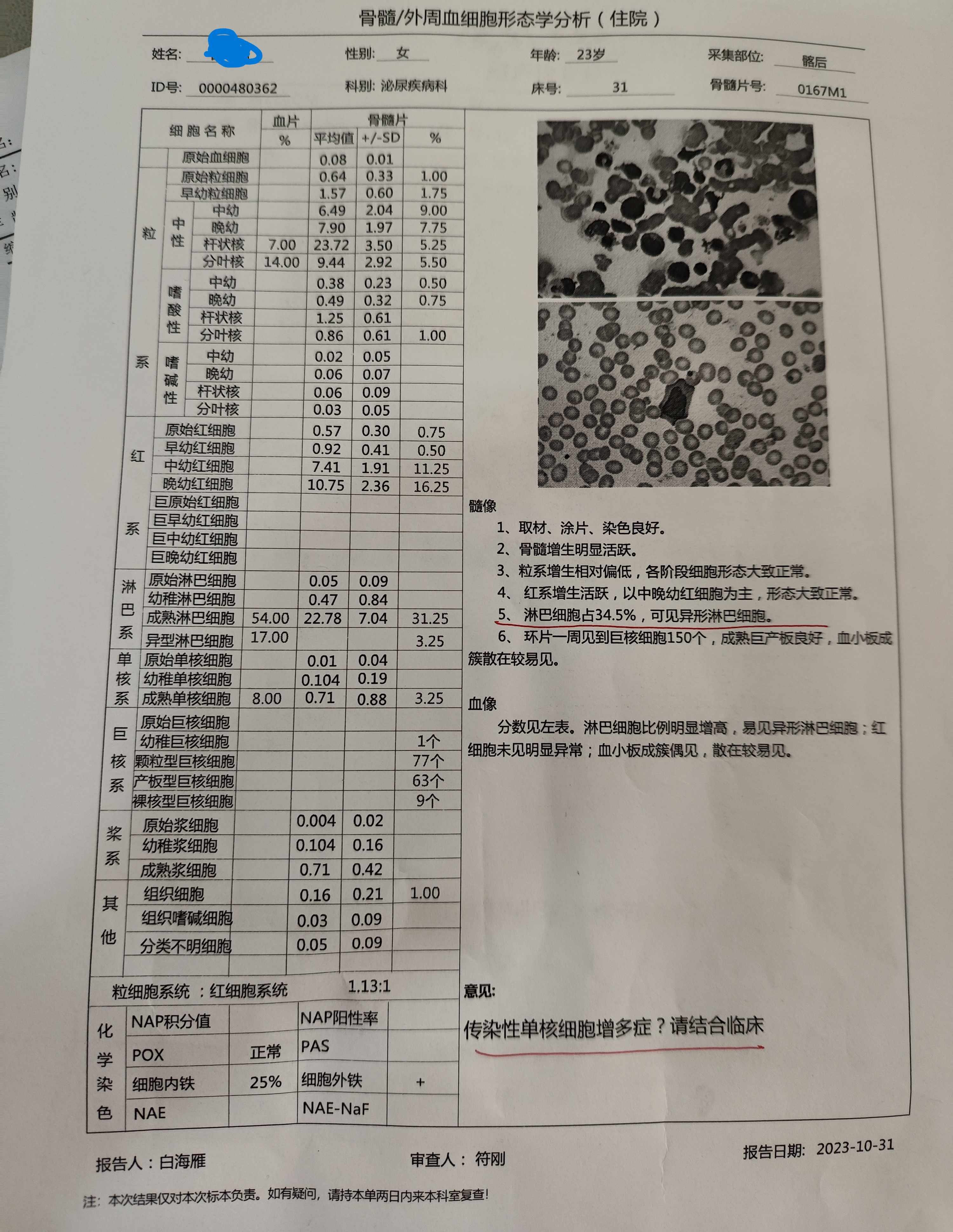 d9a7a953a943167ec495b3c656a4b10.jpg