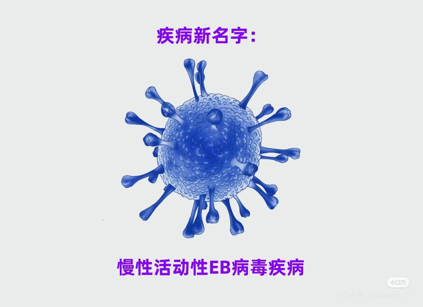 微信图片_20241023185129.jpg